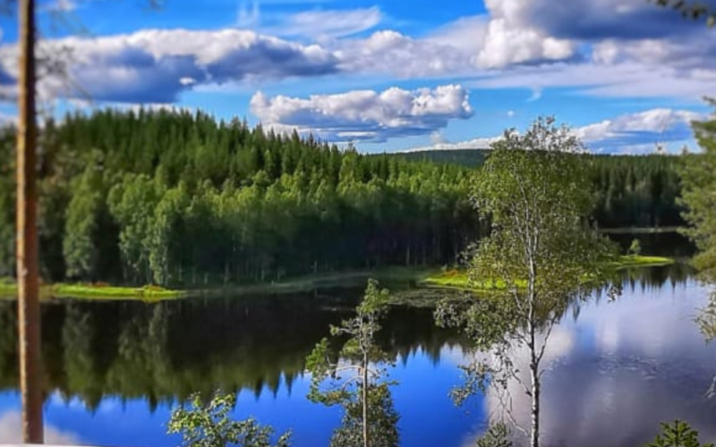 Lake Resort Paljakka 2024
