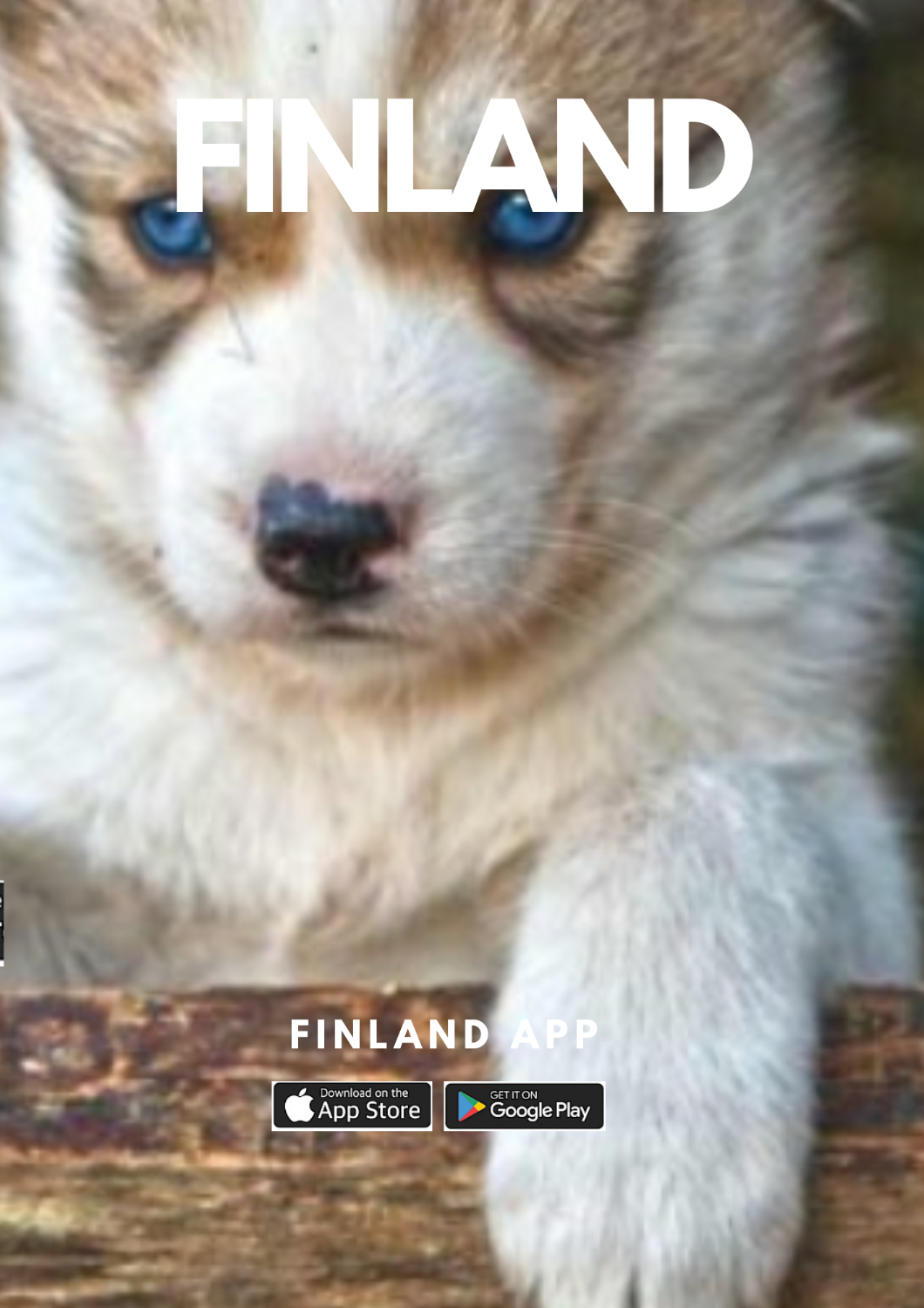 HUSKY HIKE & NATURE-Inari