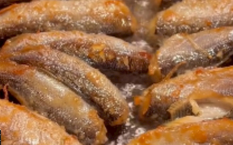 Wild Food from Finland-fried vendace