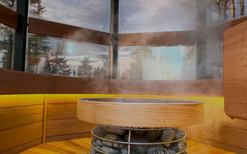 Arctic Giant Forest sauna & experience