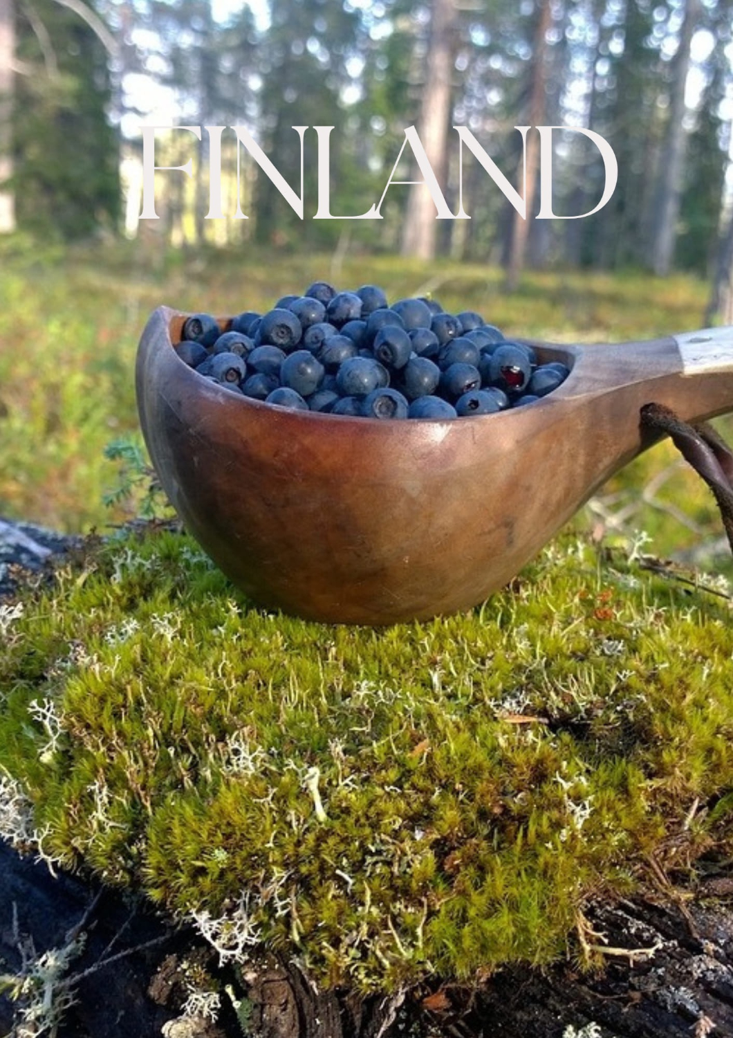 Kuksa 2025