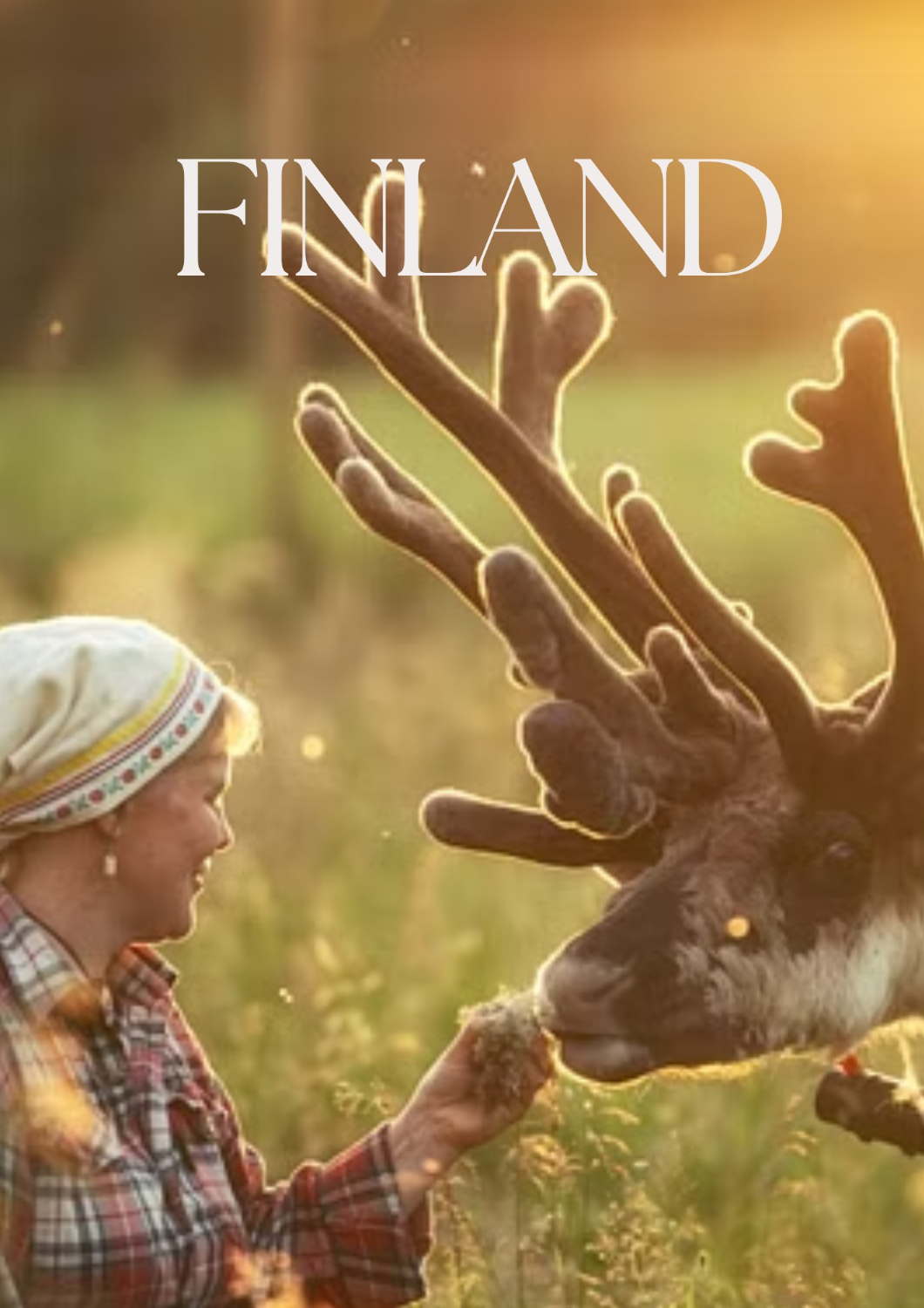 Palosaari Reindeer Farm 2025