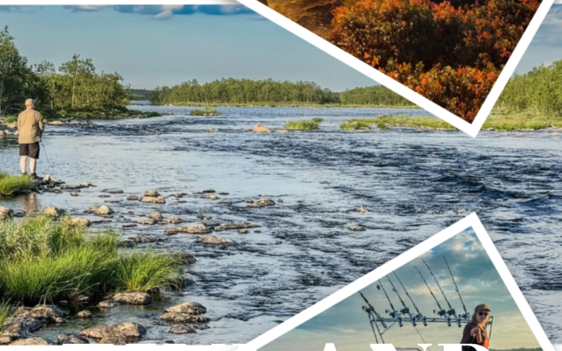 Explore Lapland