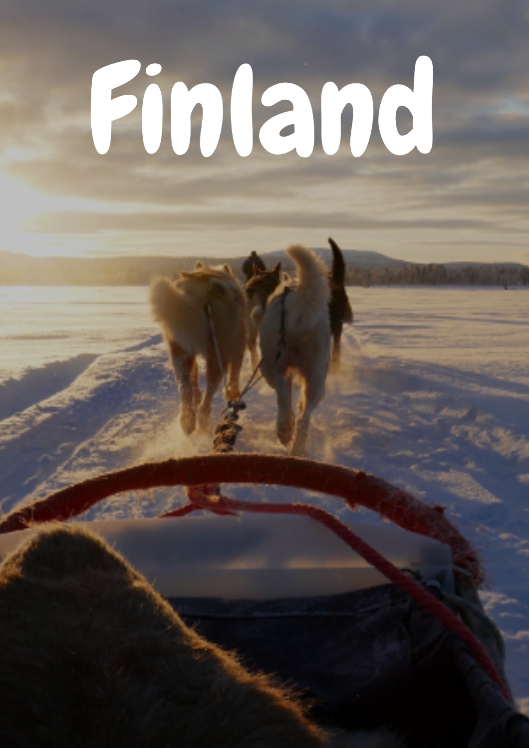 Snowmobile trip, Husky Safari, Snowshoeing -Inari